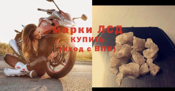 ешки Белокуриха