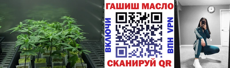 как найти   Черняховск  Дистиллят ТГК гашишное масло 